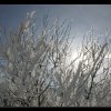 20060212_031